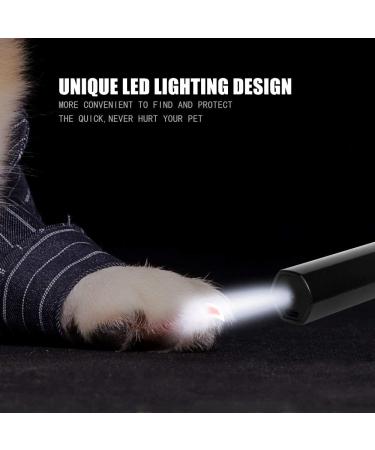 Bisnuy Professional 2-Speed Electric Dog Nail Grinder for Painless Grooming - Rechargeable Pet Nail Trimmer for Dogs & Cats - Buy Online on GoSupps.com