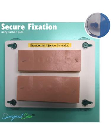 Intradermal Injection Practice Simulator Intramuscular Training IV Pad Model2022 - Buy Online on GoSupps.com