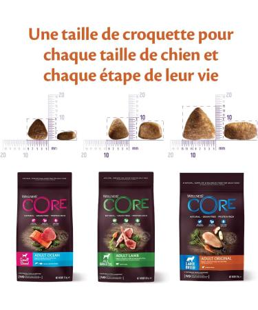 Wellness Core Lamb Natural and Grain-Free Dog Food for All Sizes Lamb 1.8 kg - Buy Online on GoSupps.com