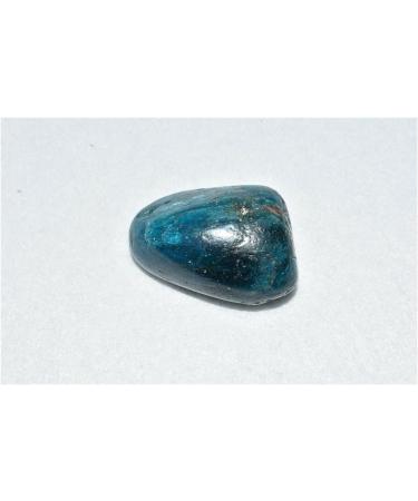 Balance Blue Apatite Tumbled Stone One Natural Quartz Reiki Crystal Lucky Stone ERTEYIN - Buy Online on GoSupps.com