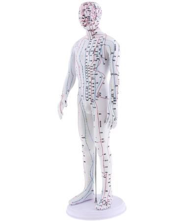 The arm can be rotated by 360 50 cm male acupuncture model PVC human meridian acupuncture point model pedagogical training aid