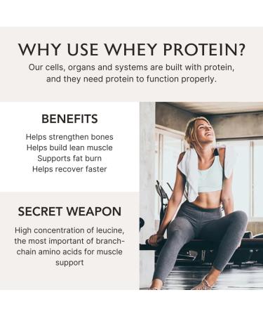 Alaya Naturals Grass Fed Whey Protein Powder - Vanilla | 20g Protein All Natural Non-GMO Gluten Free - Hormone Free Great Source of BCAA - Buy Online on GoSupps.com