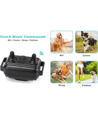 Buy Classic Nylon Dog Collars - Breathable Waterproof Easy to Handle for All Sizes | International Shipping Available - Buy Online on GoSupps.com