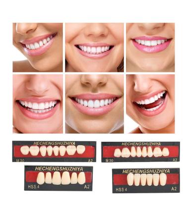 Premium Dental Care Tool - Synthetic Resin False Teeth for Natural-Looking Protheses | Ideal for Dentists - Buy Online on GoSupps.com