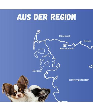 Top Dog Chicken Donut - Sugar-Free Chew Snack for Dogs (Pack of 8) - Premium International Shipping Available - Buy Online on GoSupps.com