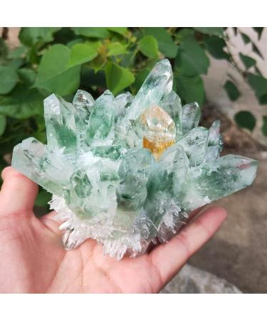 Natural Stone 300-1000g Garden Cluster Natural Green Ghost Quartz Ore raw Gemstone SpecimenHome Decor (Size : 900-1000g) HOMEZHOU (Size : 1.1 1.2kg) - Buy Online on GoSupps.com