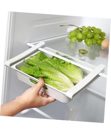 GLEAVI 2pcs Box Refrigerator Storage Box Household Dog Fridge Fruit Storage Holder Egg Carton Pull-out - Buy Online on GoSupps.com