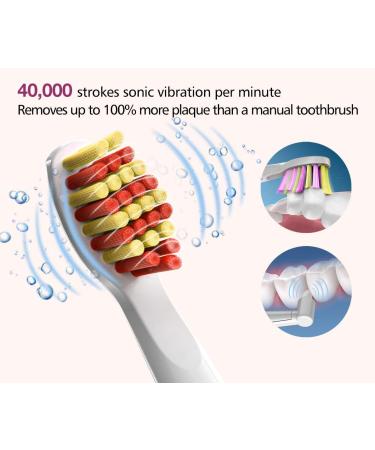 Dnsly Ultrasonic Toothbrush with 5 Modes and 8 Brush Heads - Sonic Cleaning and Whitening Toothbrush with Smart Timer and Travel Case - Rechargeable for 30 Days Use (Pink) - Buy Online on GoSupps.com
