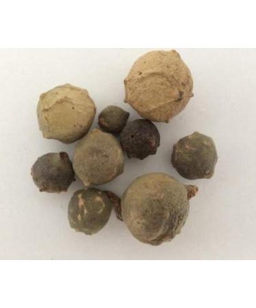 Satisfactory Nation Jadi Booti 200 Gram Maju Phal Majoo Phal Manjakani Quercus Infectoria - Buy Online on GoSupps.com