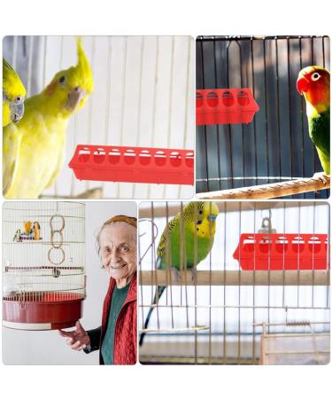Happyyami 4pcs Pigeon Trough Poultry Feeder Bird Feeder Chicken Feeding Troug Chicken Plucker Quail Feeder Parrots Feeder Bowl Piggy Clamshell Household Plastic Drinking Fountain - Buy Online on GoSupps.com