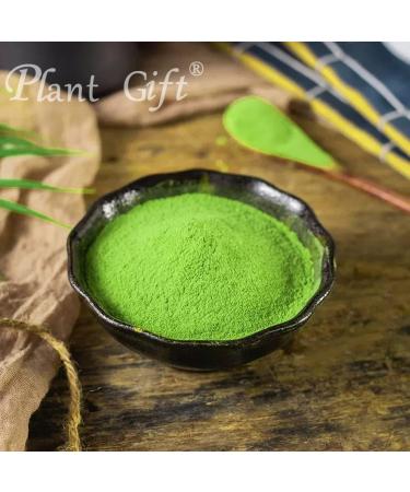 Plant Gift 100% Celery Powder 100G/3.25oz Non-GMO Powder No Filler No additives Natural Chinese Flour Adds Flavor and Taste Great Flavor for Drinks 2UK-PO0081 - Buy Online on GoSupps.com
