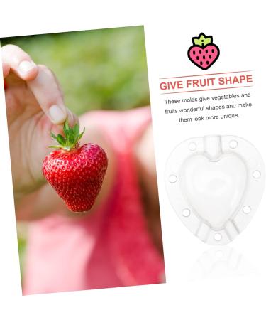 VANZACK 15 Pcs Fruit Shaping Mold White Watermelon Strawberry 4.5x4cmx3pcs Whitex3pcs - Buy Online on GoSupps.com