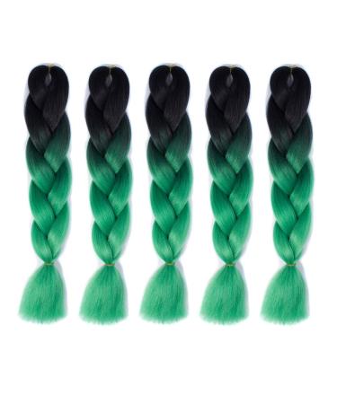 5 pieces Jumbo Braiding Hair - 24" (60cm) Jumbo Braid Hair Extension Ombre Colors for Crochet Braids Hair 1