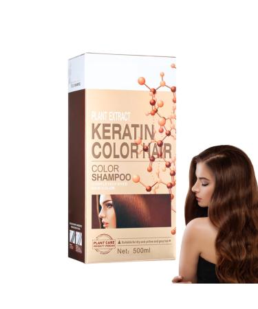 Zankie Silver gray hair color shampoo natural hair color shampoo 6in1 hair dye covers gray hair longlasting color shampoo for men and women for gray hair 500 ml