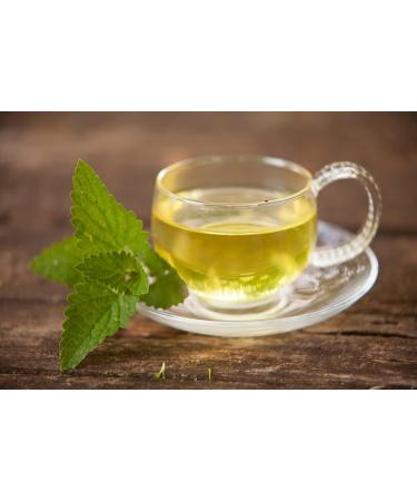 Catnip Herb Tea | Nepeta Cataria L | Cataire Herbe Tisane Health Embassy (100g) - Buy Online on GoSupps.com
