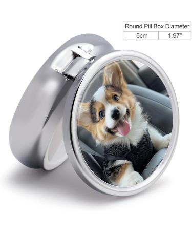 Portable 3 Compartment Pill Box Organizer | Travel-Friendly Medicine Case - Compact & Stylish for Purse & Pocket - Buy Online on GoSupps.com