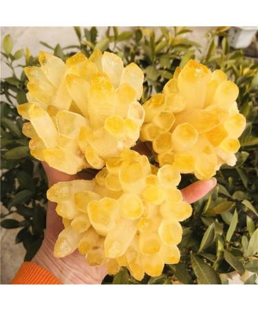 Home Decoration 500-600g Phantom Quartz Crystal Cluster 1pc s Home Collections - Buy Online on GoSupps.com