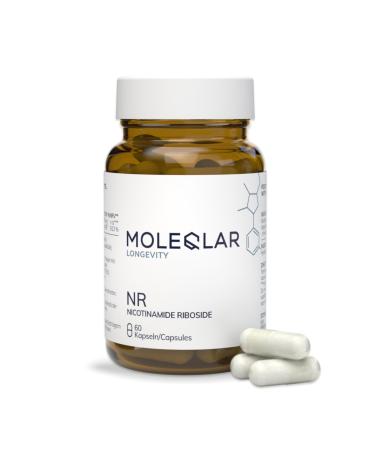 Nicotinamide Riboside Capsules soutien nerg tique cellulaire compl ment alimentaire fournissant 300 mg de chlorure de nicotinamide riboside (NR) par unit bo te de 60