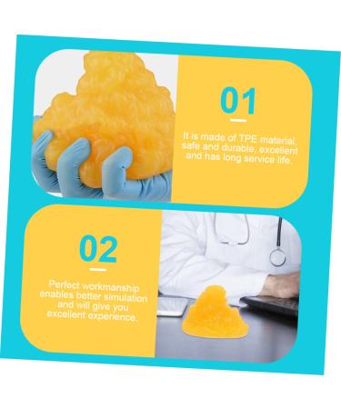 PartyKindom 2pcs Fat Model Models Human Fatty Tissue Demonstration Display 1-Pound Fat Replica Base - Buy Online on GoSupps.com