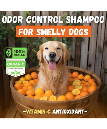 Kelebs Sensitive Dog Shampoo - Vegan Citrus Soap for Puppies | Lavender & Oatmeal | 3 Pack | Natural Dog Care - Buy Online on GoSupps.com