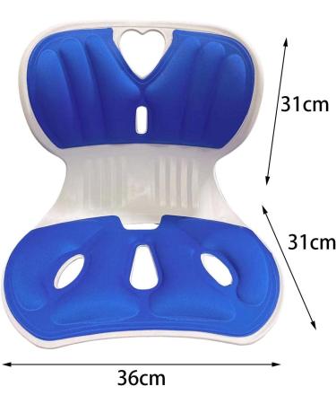 MERIGLARE Lumbar Support Pillow for Sitting Comfort Blue - Buy Online on GoSupps.com