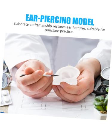 4pcs Silicone Human Ear Anatomy Model for Jewelry and Ear Piercing Practice | Fake Mannequin Ear Mold Set | Body Parts Training Tool - Buy Online on GoSupps.com