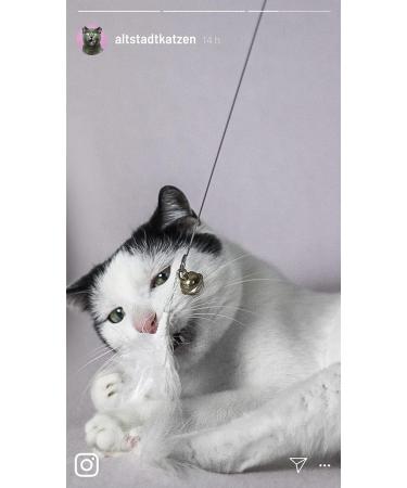 Premium Catslang Cat Toys | Natural Leather & Springs | 4-Piece Set for Cats | Handmade in Germany - Buy Online on GoSupps.com