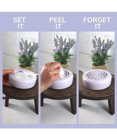 Citrus Magic Odor Absorbing Solid Air Freshener - Lavender Escape, 8-Ounce (Pack of 3) - Buy Online on GoSupps.com