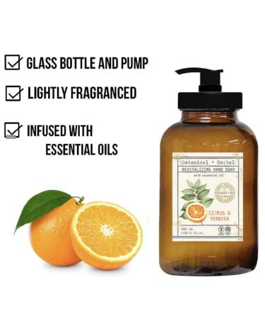 Buy Botanical Herbal Hand Soap Set (4 x 22 Fl Oz) - Infused with Essential Oils: Lavender Chamomile Sage Eucalyptus Citrus Verbena Coconut Hibiscus - International Shipping Available - Buy Online on GoSupps.com