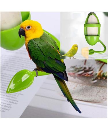 Cuttlebone Holder for Birds - 3 Pcs Parrot Stand with Plastic Cuddle & Bone Sticks - Ideal for Parrots Parakeets & Finches (Green) - International Shipping - Buy Online on GoSupps.com