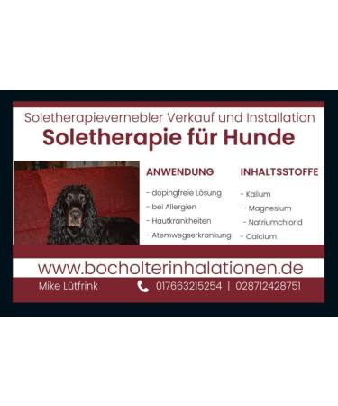 Buy Generic Dead Sea Salt Sole 5% - 1 Liter for Inhalation | International Shipping - Buy Online on GoSupps.com