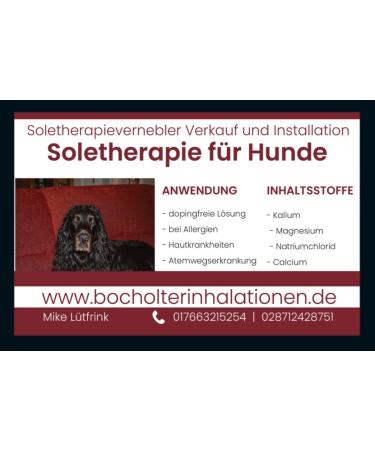 Buy Generic 10 Liters Dead Sea Salt Brine 5% - Premium Quality from the Dead Sea | International Shipping Available - Buy Online on GoSupps.com