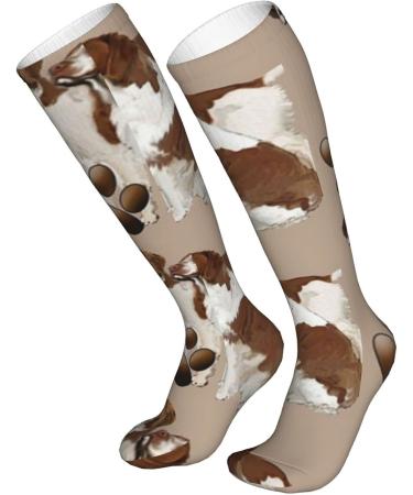 Buy Brittany Spaniel Liver-Colored Compression Socks | 15-20 mmHg Support for Running & Cycling - Unisex - Buy Online on GoSupps.com