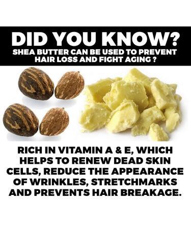 African Shea Butter Body Lotion 7.9oz | 100% Raw & Unrefined Moisturizer for Dry Skin | Non-Greasy Hydrating Skincare for Men & Women - 225g - Buy Online on GoSupps.com