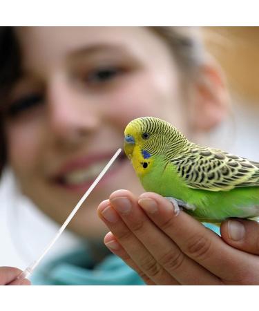 ULTECHNOVO Parrot Feeding Tube Set - 5 Pcs Bird Feeding Syringe Kit for Milk and Water Feeding - Buy Online on GoSupps.com