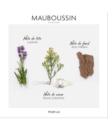 Mauboussin - Pour Lui 100ml (3.3 Fl Oz) - Eau de Parfum for Men - Fern & Modern Scents Fern & Modern 3.3 Fl Oz (Pack of 1) - Buy Online on GoSupps.com