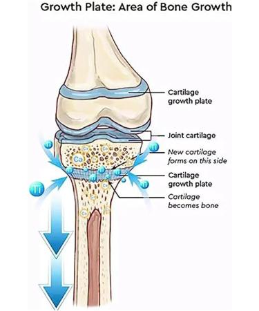 Douhua HigherSocks 2023 Far Infrared Schorl Titanium Ion Heightening Booster Socks - Tourmaline Slimming Health Socks (Light Blue) - Buy Online on GoSupps.com