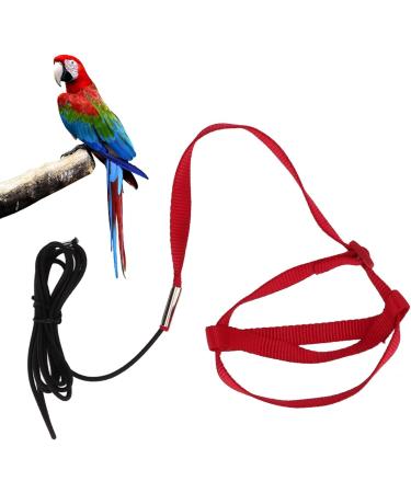 Buy Wavy Bird Dishes & Training Leashes for Nymphensittich & Alexandriner - International Shipping - Buy Online on GoSupps.com