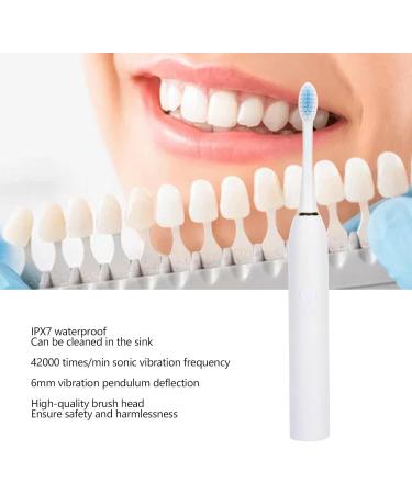 Buy Electric Waterproof Toothbrush | Leaning Tower of Pisa Design | Ideal for Home Use - Buy Online on GoSupps.com