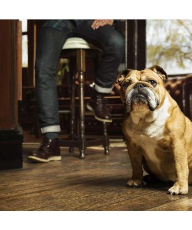  Bulldog BULLDOG Original 2-in-1 Beard Shampoo 200ml - Buy Online on GoSupps.com