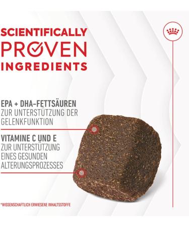 Royal Canin Joint & Ageing Chews | Pack of 3 | 3 x 240 g | Snacks for Adult Dogs of All Sizes & Breeds | In Resealable Bag | Developing with Veterinarians | With Green-Lipped Mud - Buy Online on GoSupps.com