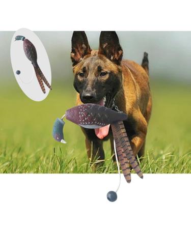 Naedien Gun Dog Training Dummy Dog Turkey Toy Dog Dummy Training Toy Gundog Training Dummies Gundog Dummy Dog Training Toy Dog Retrieve Dummy Water Toys for Dogs 21x12x6CM Small Turkey - Buy Online on GoSupps.com