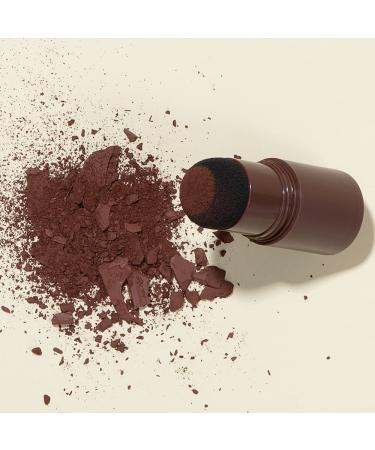 One Step Eyebrow Stamp Shaping Kit - Waterproof Eyebrow Makeup with Soap Powder Stencils & Brushes - Dark Brown - Buy Online on GoSupps.com