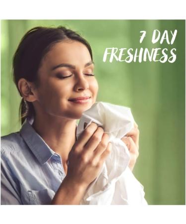 Persil Bio 3 in 1 Laundry Detergent Pods Mega Refill Pack - 38 Wash Count, Plant-Based Stain Removal with Comfort Freshness, Biodegradable Ingredients - Modern 38ct Pack - Buy Online on GoSupps.com