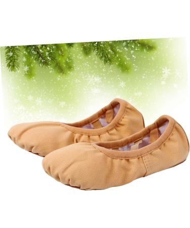 Buy Lurrose Foldable Ballet Shoes - Travel Friendly Stretch Sole Ideal for Ballet & Yoga - Comfortable Slippers for Dance Exercises - Buy Online on GoSupps.com