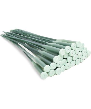 30 Pack Stem Water Tubes for Flowers - Extendable Vials for Floral Arrangements - Florist Supplies (12 in) - Buy Online on GoSupps.com
