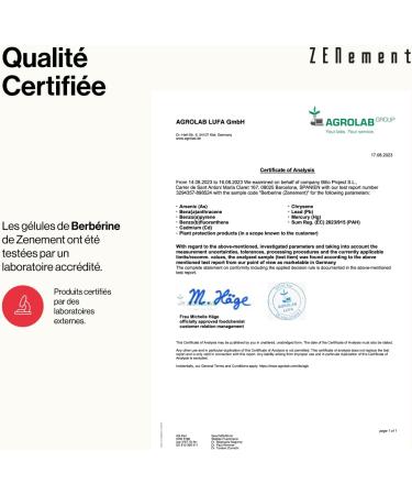 Berberine HCl - 4 Month Supply (120 Vegan Treating Capsules) - With Black Pepper and Natural Chrom - The Best Berberis Aristata Extract - Zenement - Buy Online on GoSupps.com