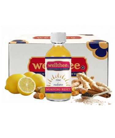 MORNING RESET Apple Cider Vinegar Beverage Shot with Lemon Ginger Turmeric Cinnamon & Cayenne 2 oz Bottles 2-Pack Lemon Ginger 2
