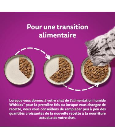 WHISKAS Cat Meals - 48 Fresh Sachets (Pack of 2 Packs 24x85g) - Favorite Fish (4 varieties) - Cat Pate - Buy Online on GoSupps.com