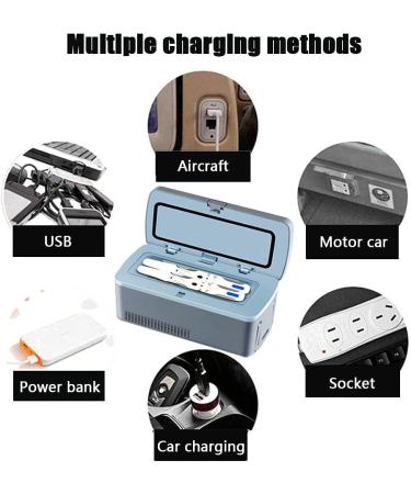 Mini Smart Electric Fridge Portable Insulin Cooler Box for Medication Cooler Bag Thermostat USB for Travel & Household 230 * 110 * 110mm 2 battery - Buy Online on GoSupps.com